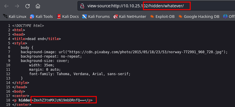 FLAG EN BASE64